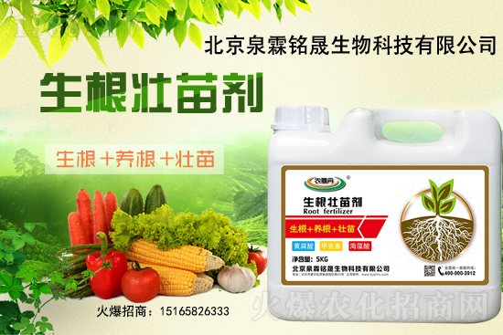 一豆難求！2020-11-25東北大豆上漲迅猛