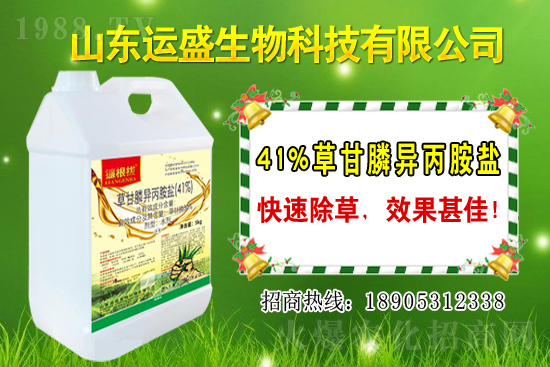 覆盆子生長習(xí)性有哪些？覆盆子種植技術(shù)！