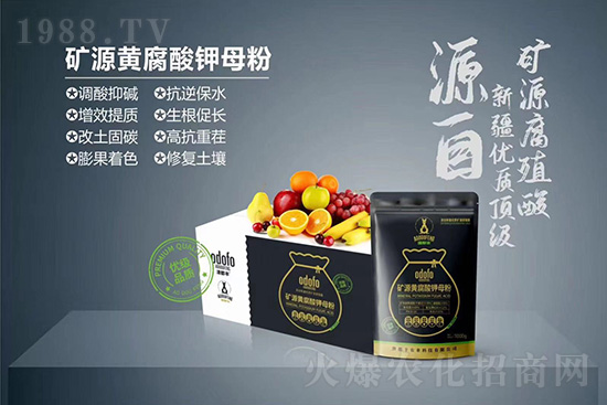 什么是蔬菜冷害？如何提高作物抗凍能力？