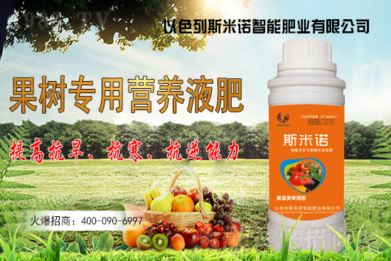 大豆價格持續(xù)“高漲”？今日東北大豆報價一覽！