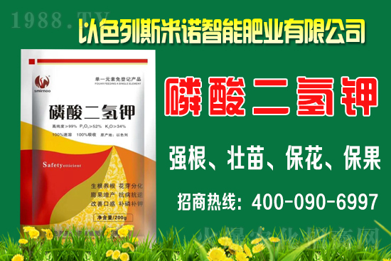 柑橘什么時(shí)間施肥？柑橘的施肥時(shí)間及用量介紹！