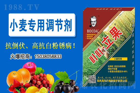 С���r��������ϝq��2020-11-26С���r������