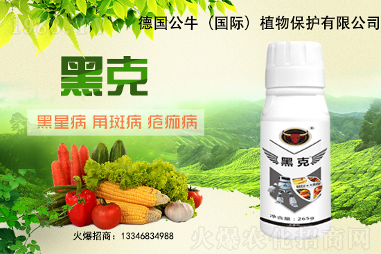 東北大豆能破3元/斤嗎？11月28日大豆價(jià)格行情