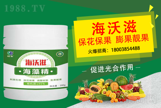 造成草莓果小是什么因素？怎么促進草莓膨果呢？