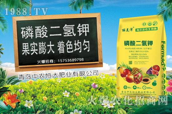 今日小麥價(jià)格上漲，后期是否會(huì)持續(xù)上漲？