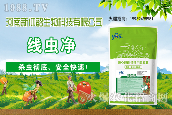 ����ֲ��ԓ��ô��ˮ������ֲ�ˮҪע����Щ���}�أ�