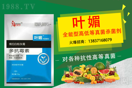 辣椒病害嚴(yán)重太難纏，如何輕松解決？