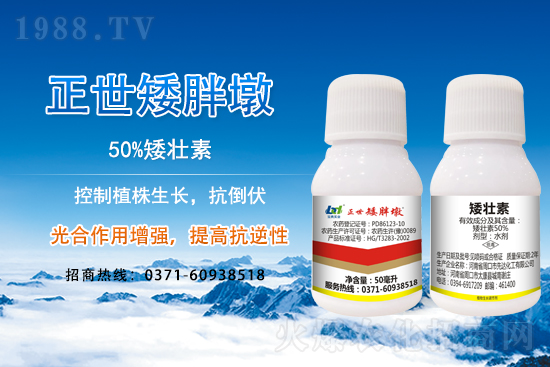 С����ǰ���L��ʲôΣ������ȡʲô��ʩ����Ч��ͽ�L��