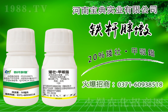 С����ǰ���L��ʲôΣ������ȡʲô��ʩ����Ч��ͽ�L��