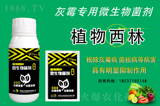 灰霉病不好治的原因，怎么做防治效果好？