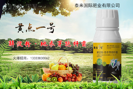 黃瓜葉片起“小黃點”是什么?。糠乐畏桨赣心男?？