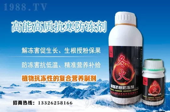 �紺�²����ʩ�����²�ʩ�ʷ�����ע�����(xi��ng)��