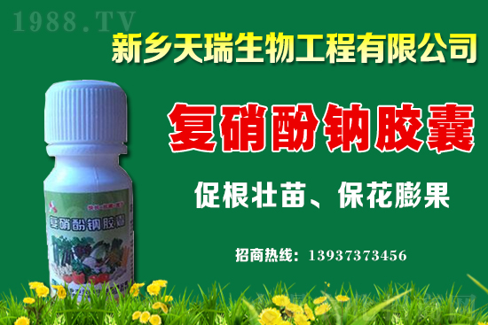 ���[һ�����ܮa(ch��n)���ٽ������[�r(ji��)�����ϝq��