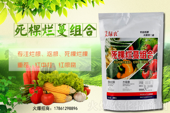 柑橘施肥在什么時間適宜？柑橘樹冬季該怎么管理？