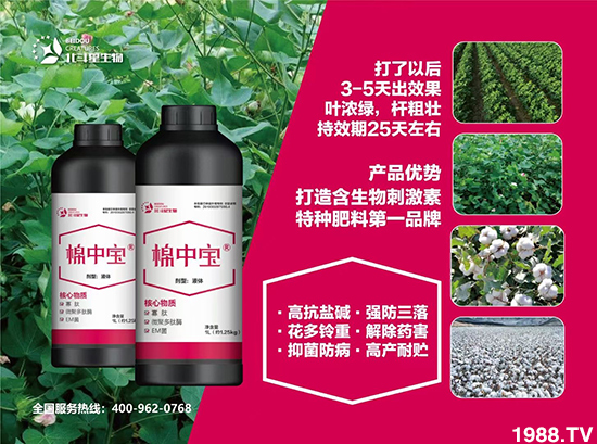 特種肥為什么這么火？有什么特點(diǎn)之處？