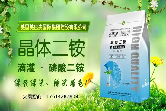 冬季茄果蔬菜蘸花如何避免藥害發(fā)生？蔬菜蘸花注意哪些問題？