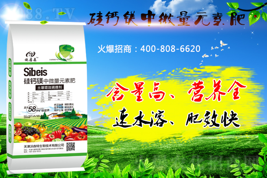 ���}�VԪ�ط����˽���٣���̎����Щ��