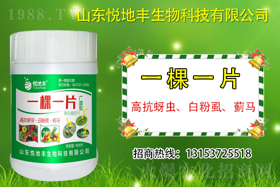 �߿����x���׷�ʭ���E�R��ʲô����һ�x������