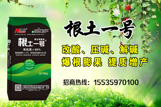     ΢��������е�΢������ʲô������΢�����������θ��������ģ�