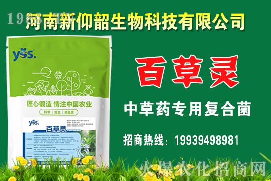 今年小麥價格還會漲嗎？2020年12月小麥價格行情如何？