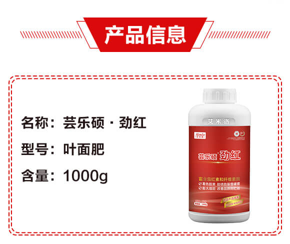 蕓樂(lè)碩·勁紅-艾米洛_02