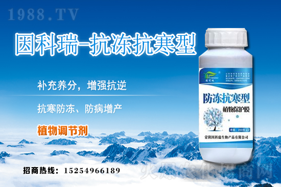 今日稻谷價(jià)格多少錢一斤？2020年12月9日稻谷價(jià)格行情