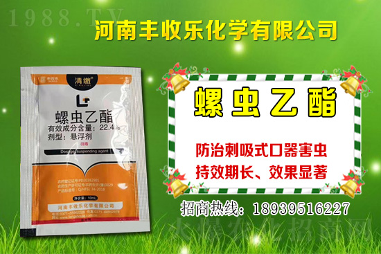 2021年棉花種植品種該怎么選？棉花選種要注意哪些問題？