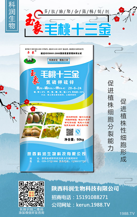     警惕：尿素連續(xù)漲價后，風險大嗎？2020-3-13各地最新報價！