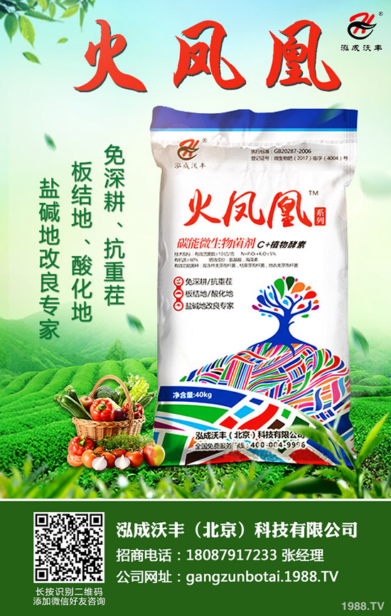 常見果樹蛀干害蟲有哪些，果樹蛀干害蟲如何消滅？