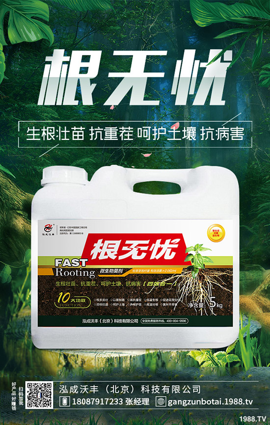 豆角鉆心蟲危害大、抗性大怎么辦？豆角鉆心蟲綜合防治！