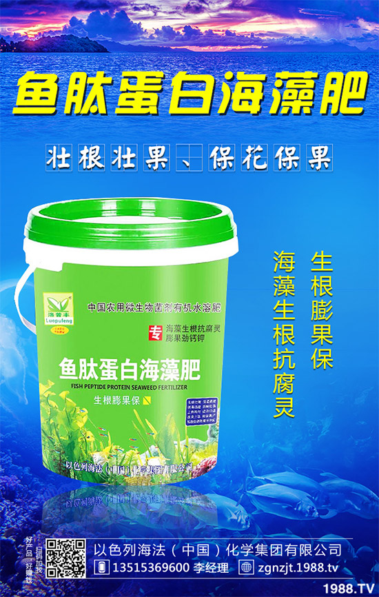 韭菜育苗需要移栽嗎？春季韭菜育苗移栽的注意事項(xiàng)