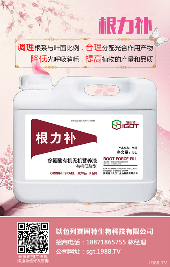 小麥春季常見(jiàn)的病害有哪些？該如何防治？春季小麥病害防治方法介紹