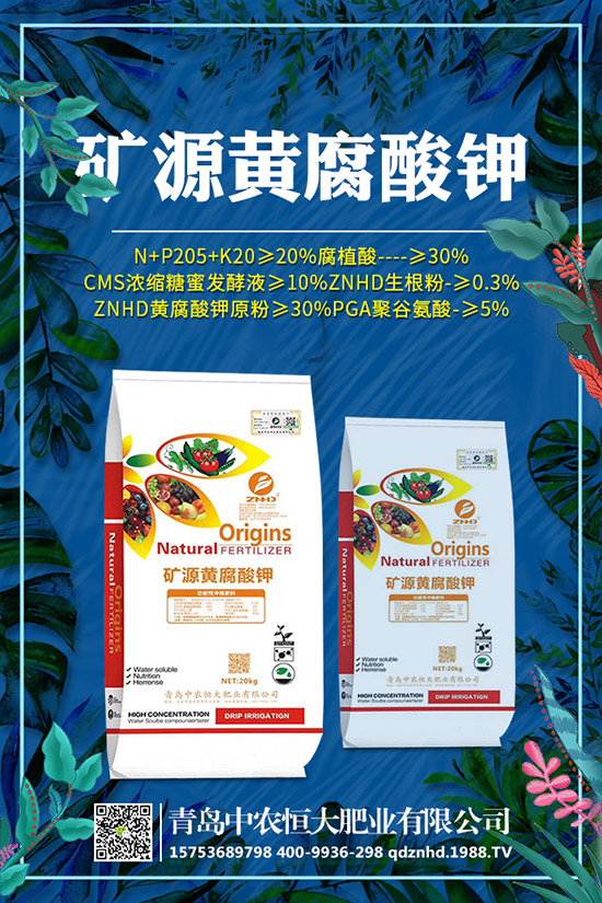 �紺���˷Nֲ���g(sh��)����Щ�����g����Ҫע��ʲô��