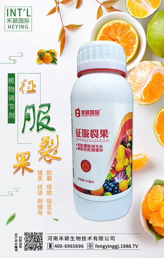 ����ʲô�r�g�m���ԷN�����ٷ�ˮ��������Щ��