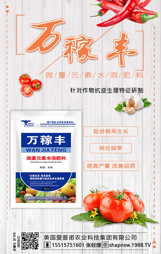 茶葉是什么時(shí)候種植的？茶葉的市場(chǎng)前景及種植效益！