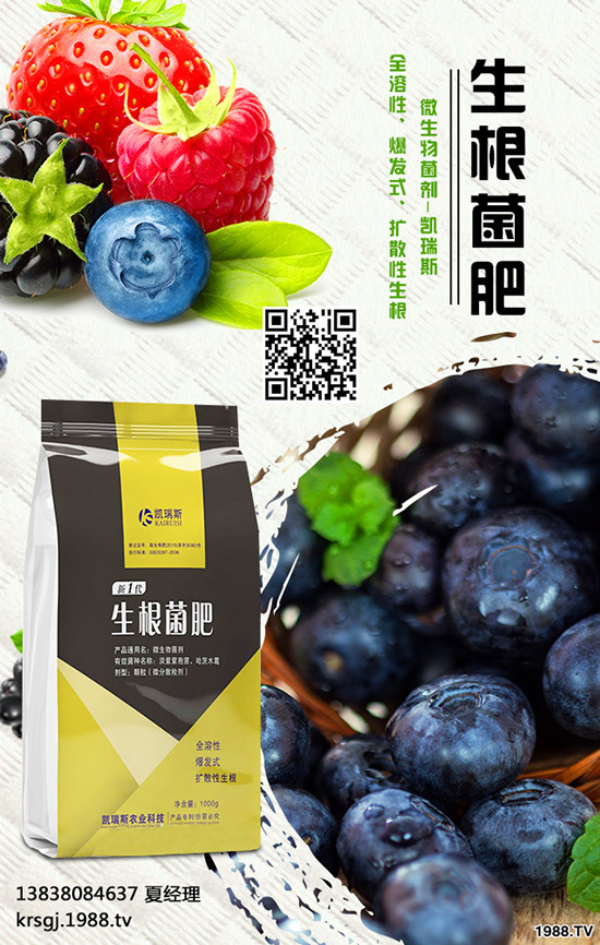 長壽花盆栽施肥要注意哪些問題，長壽花盆栽施肥要點！