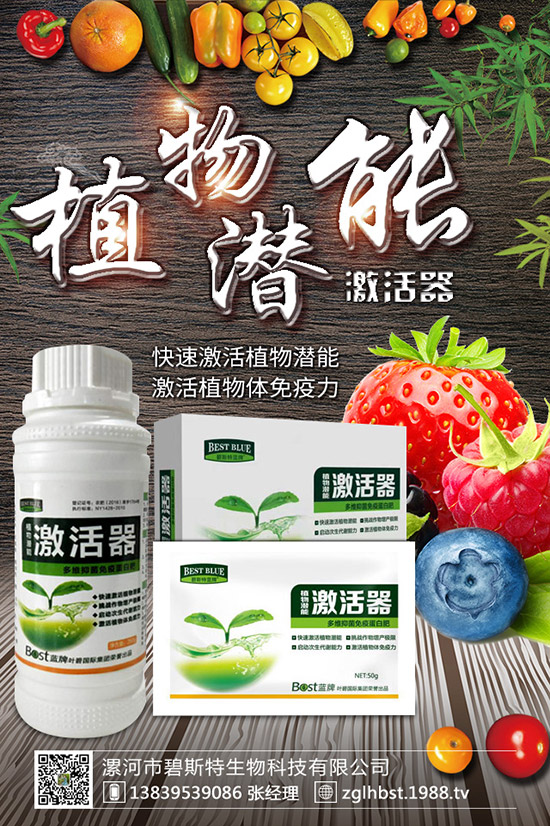 天麻怎么種成活率高？天麻什么時候種植更好？