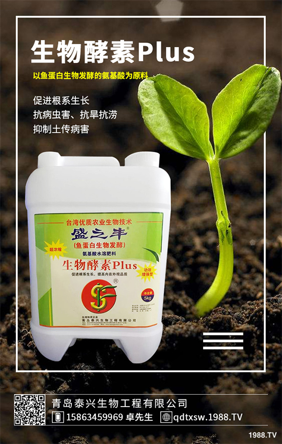 菜菔子有哪些神奇功效？萊菔子的功效作用及食用禁忌