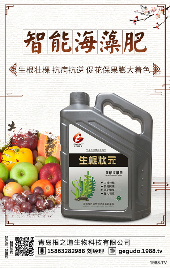 棉花種植怎么管理？棉花各個生長期的管理技術(shù)要點！