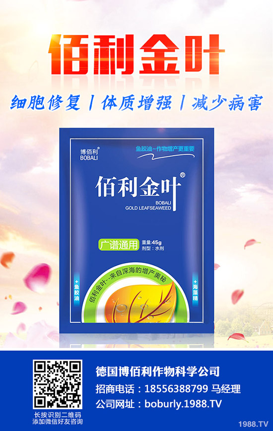 果樹如何預(yù)防肥害，發(fā)生肥害了如何補救？