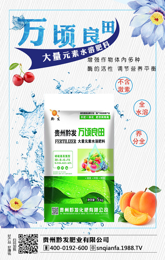 西蘭花育苗技術(shù)有哪些，西蘭花育苗的注意事項(xiàng)！