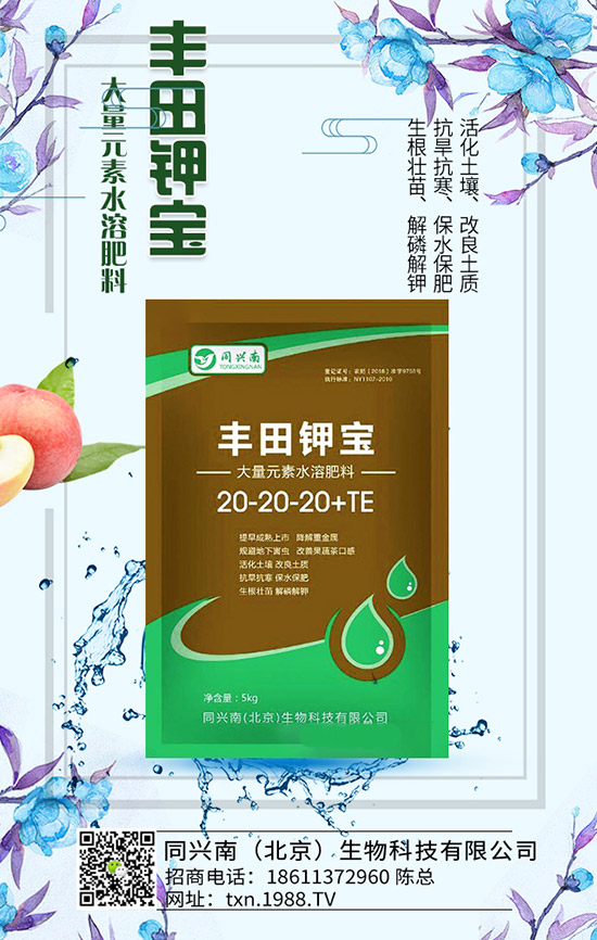 豌豆什么時(shí)候種，豌豆種植時(shí)間及種植要點(diǎn)！