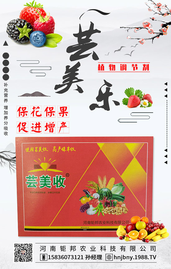 花生白絹病有什么危害？花生白絹病的防治措施！