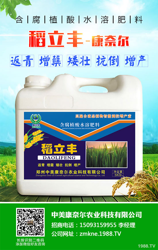 С�����·����������������ж��Ӱ���ԓ����a(b��)�ȣ�С�����·��r(n��ng)��ָ��