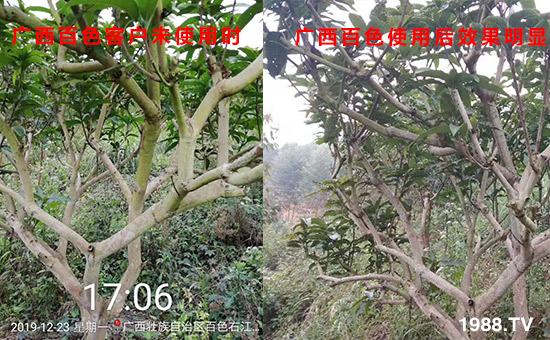 �V����ɫ�͑�δʹ�Õr��ʹ�ú�Ч�����@��