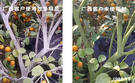 �V���͑�ʹ��Ч�����@��δʹ�Õr��