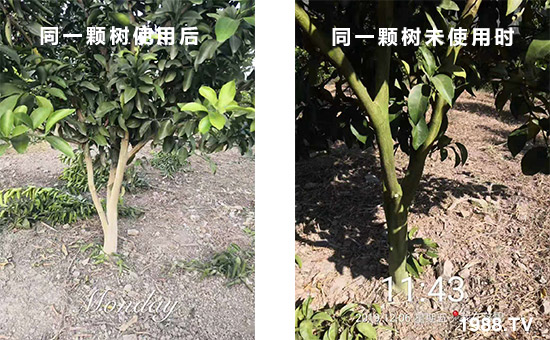 ͬһ�w��ʹ�ú��ͬһ�w��δʹ�Õr��