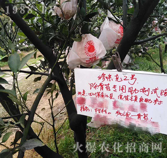 �Ĵ�����������򞷴��