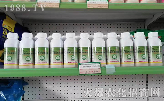 �������ϼ��N����