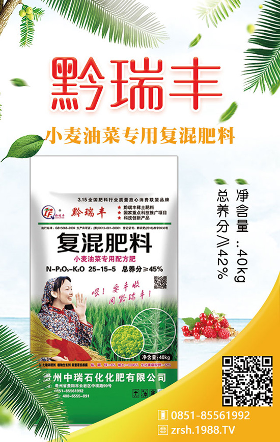 如何種植春季白菜？科學(xué)方法有哪些？